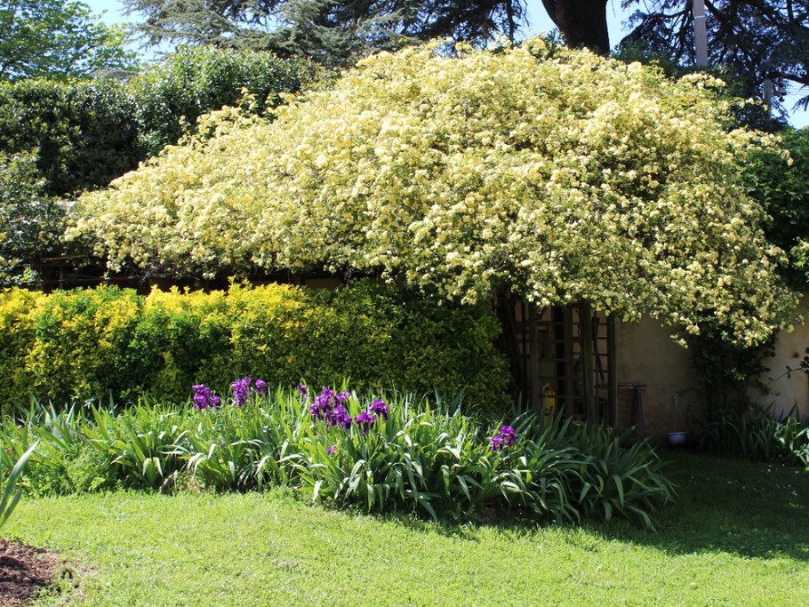 Photo n° 18 de la location