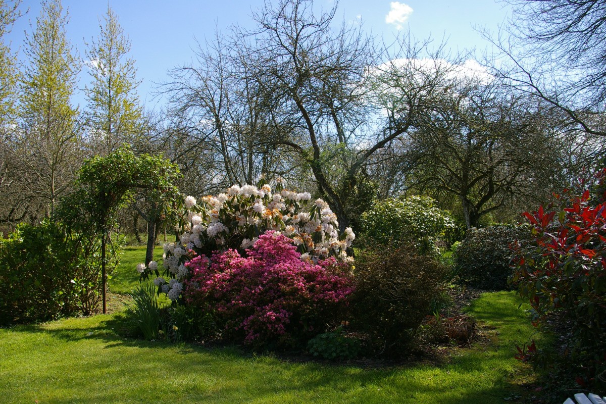 Entrée du verger- Maison de village de caractère , dans jardin  magnifique, près de la mer. 6 pers.