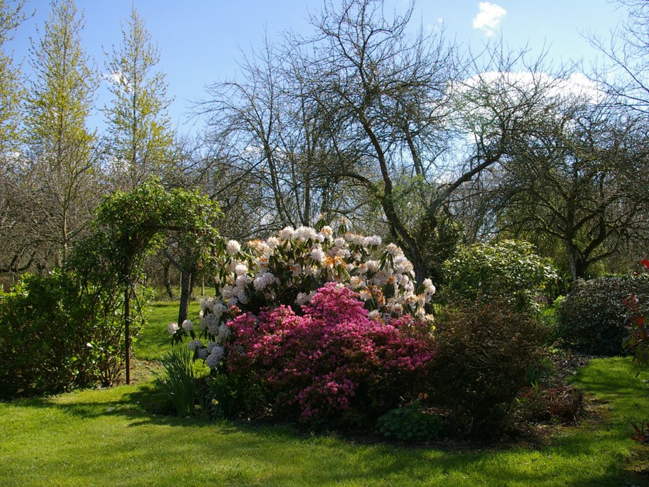 Entrée du verger- Maison de village de caractère , dans jardin  magnifique, près de la mer. 6 pers.