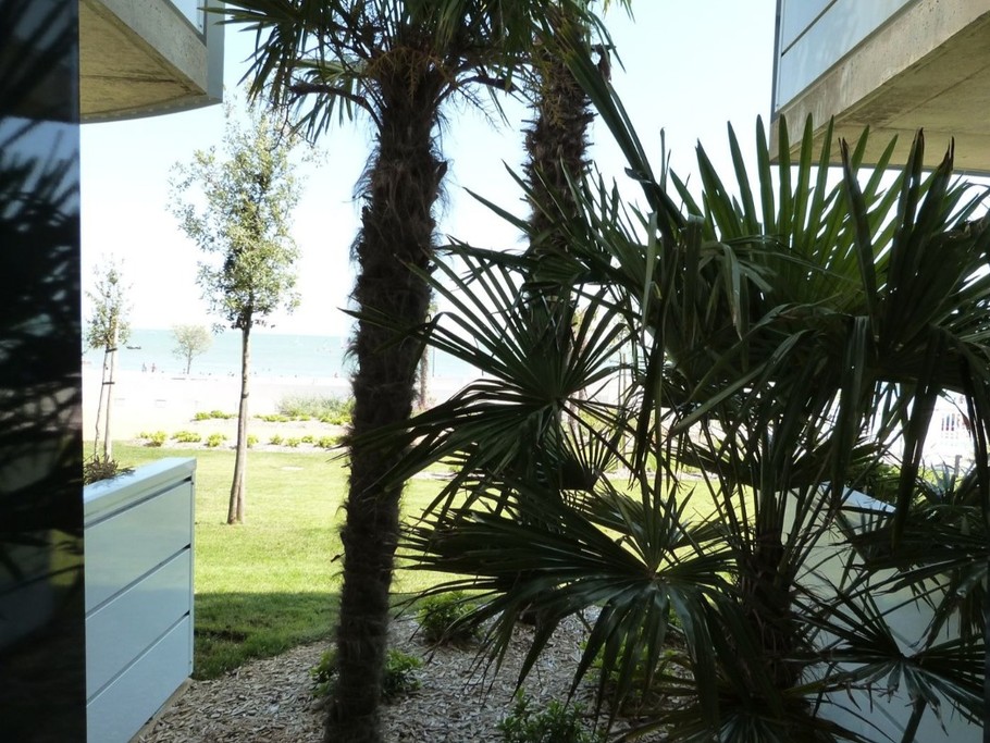 Photo n° 12 of the location