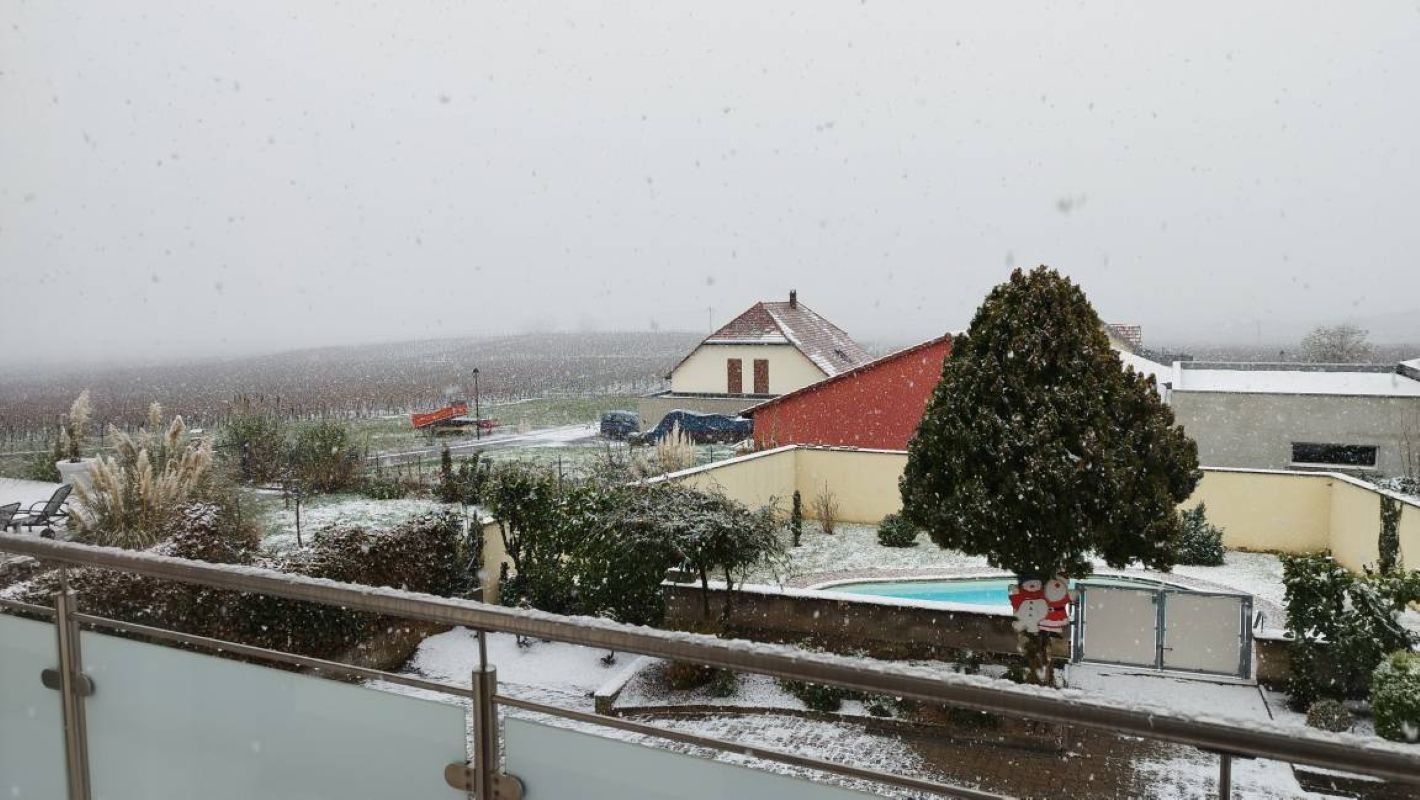 Photo n° 16 de la location