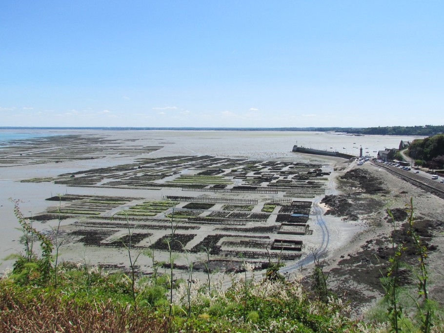Cancale et ses parcs à huîtres.
Crédits photo : ADT 35 COCHERIE-Angelique