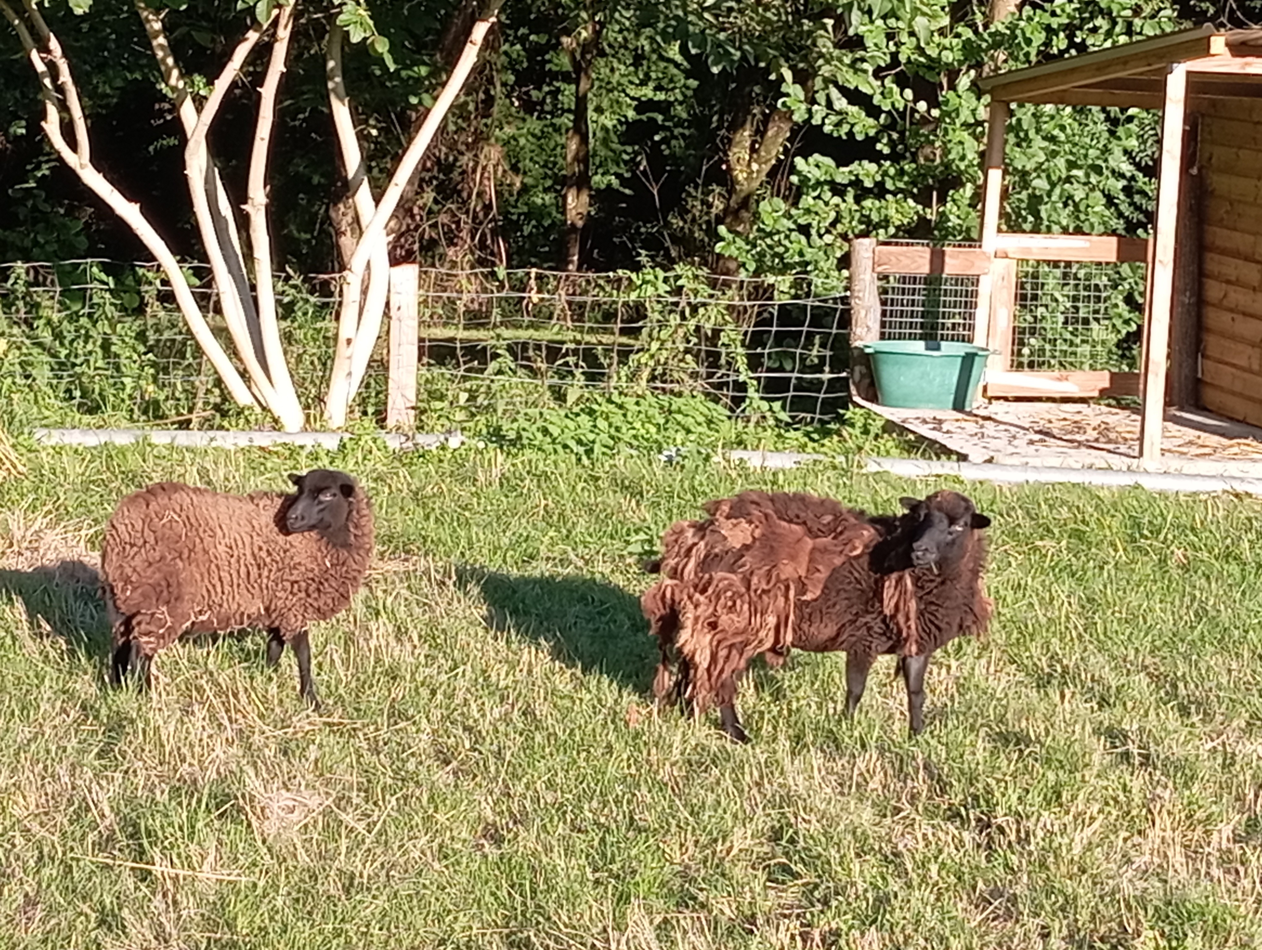 Photo n° 12 de la location