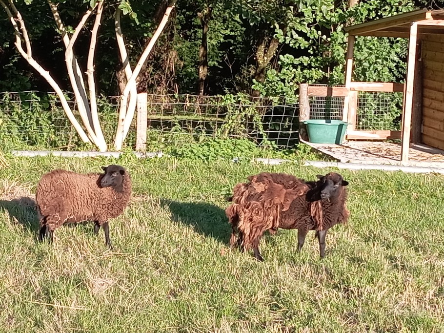 Photo n° 12 de la location