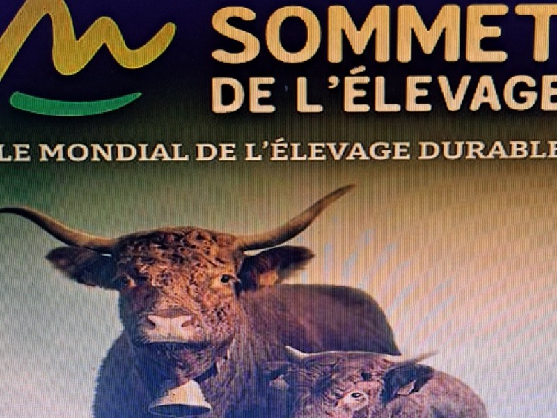 Un moment de calme pendant votre séjour au sommet