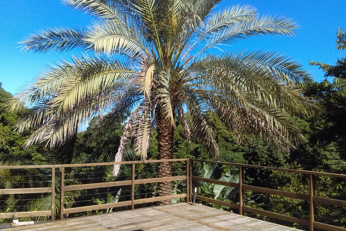 Photo n° 3 of the location