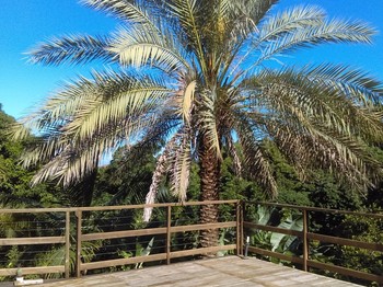 Photo n° 3 de la location