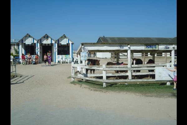 Photo n° 15 de la location