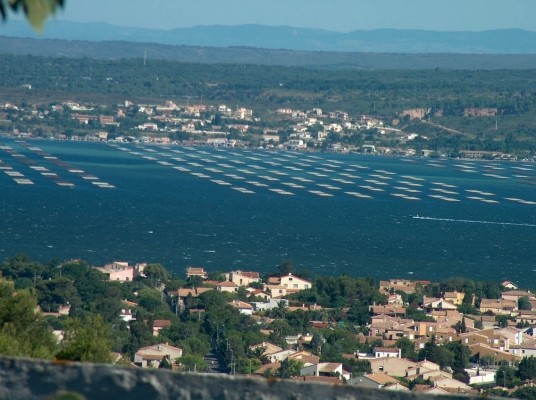 Photo n° 12 de la location