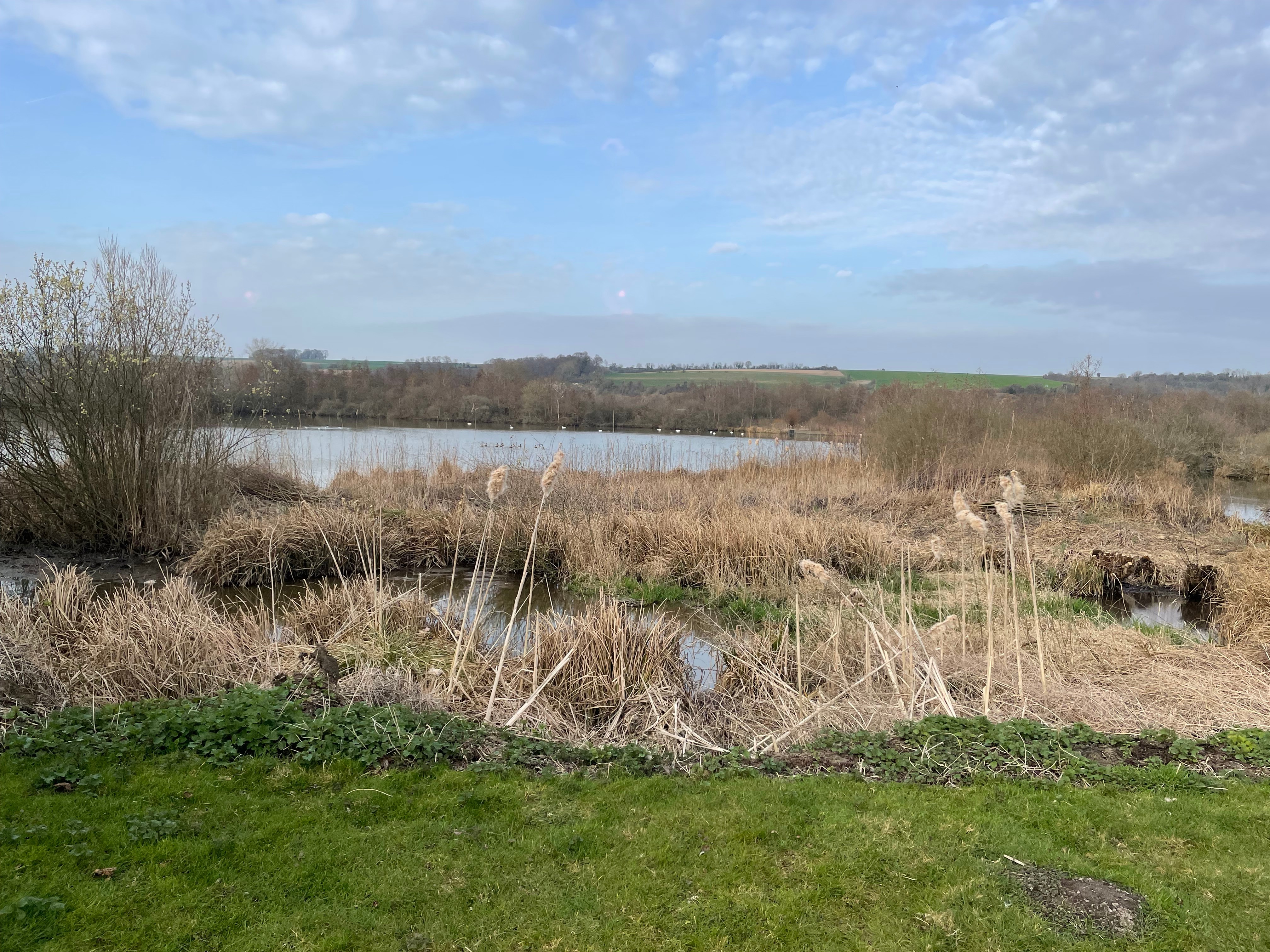 Photo n° 4 de la location