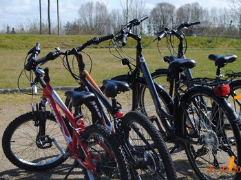 Photo n° 2 de la location