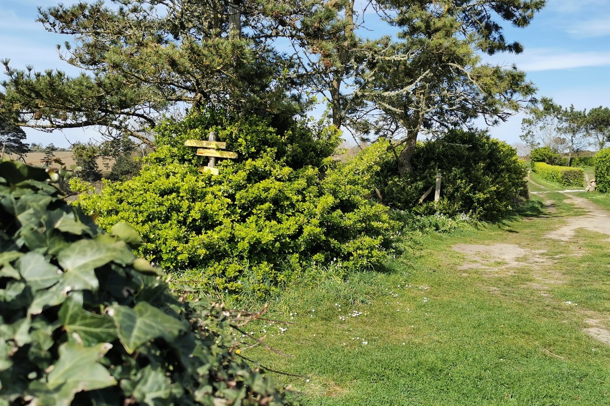 départ des sentiers de randonnée à l'arrière de la maison