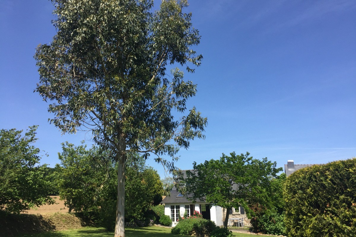 Photo n° 15 of the location