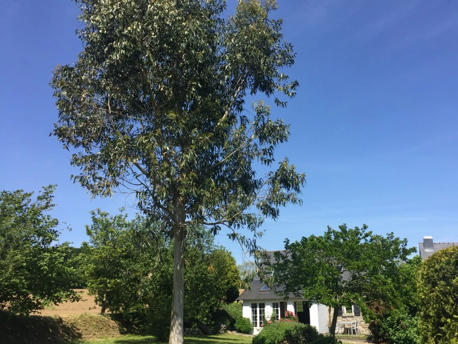 Photo n° 15 of the location