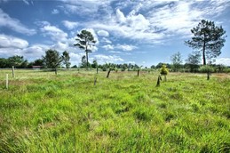 Image n° 2 de la location