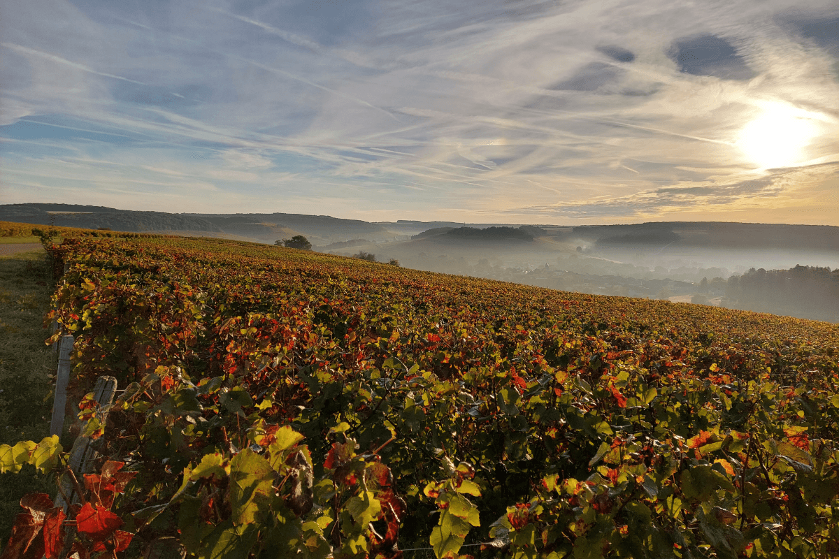 paysage de Meurville