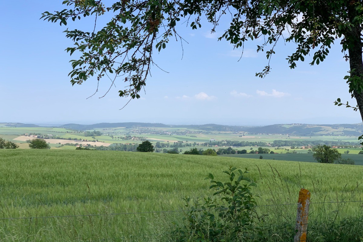 Photo n° 2 de la location