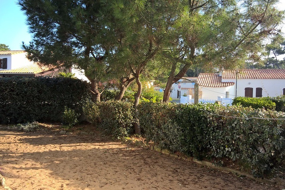 Terrain