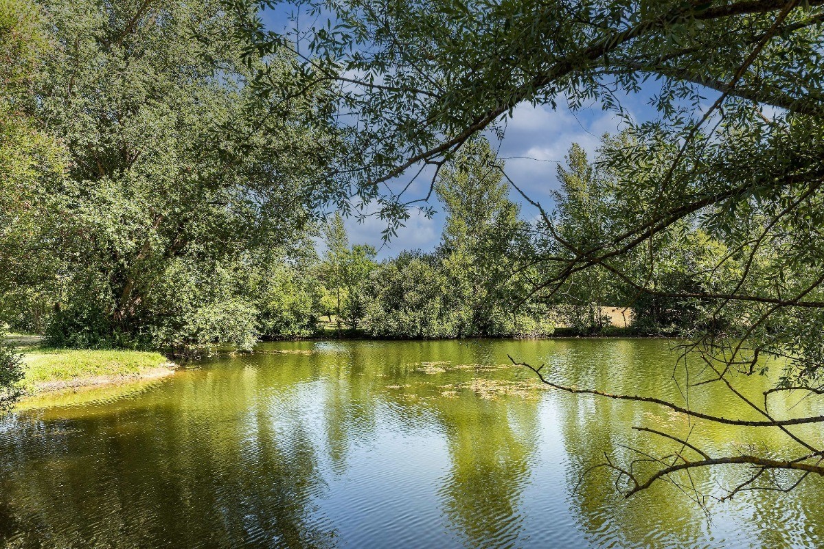Gîte 4 personnes avec piscine et spa en Lot-et-Garonne