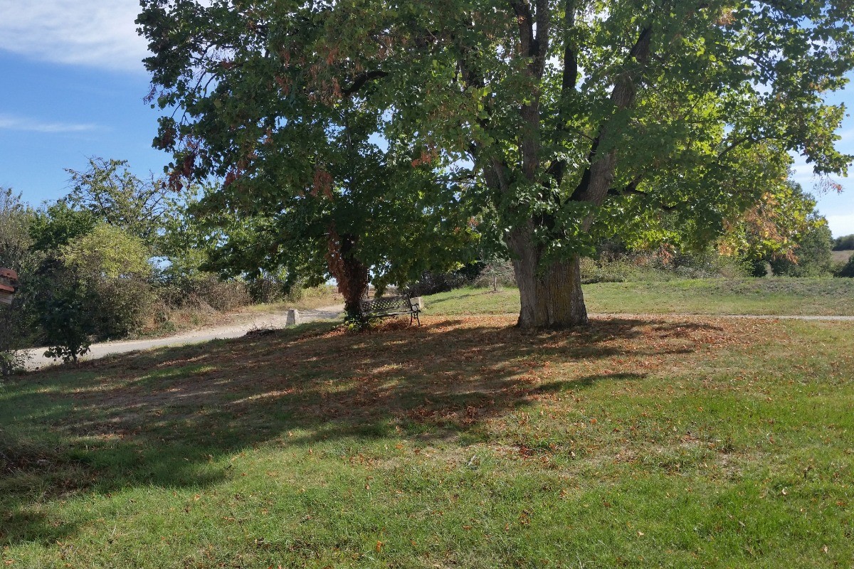 Photo n° 12 of the location