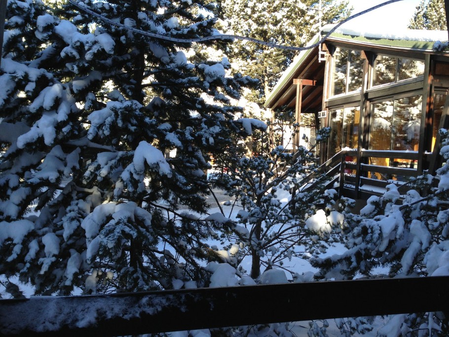 DU COTE DROIT DU CHALET