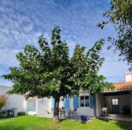 Image n° 2 de la location