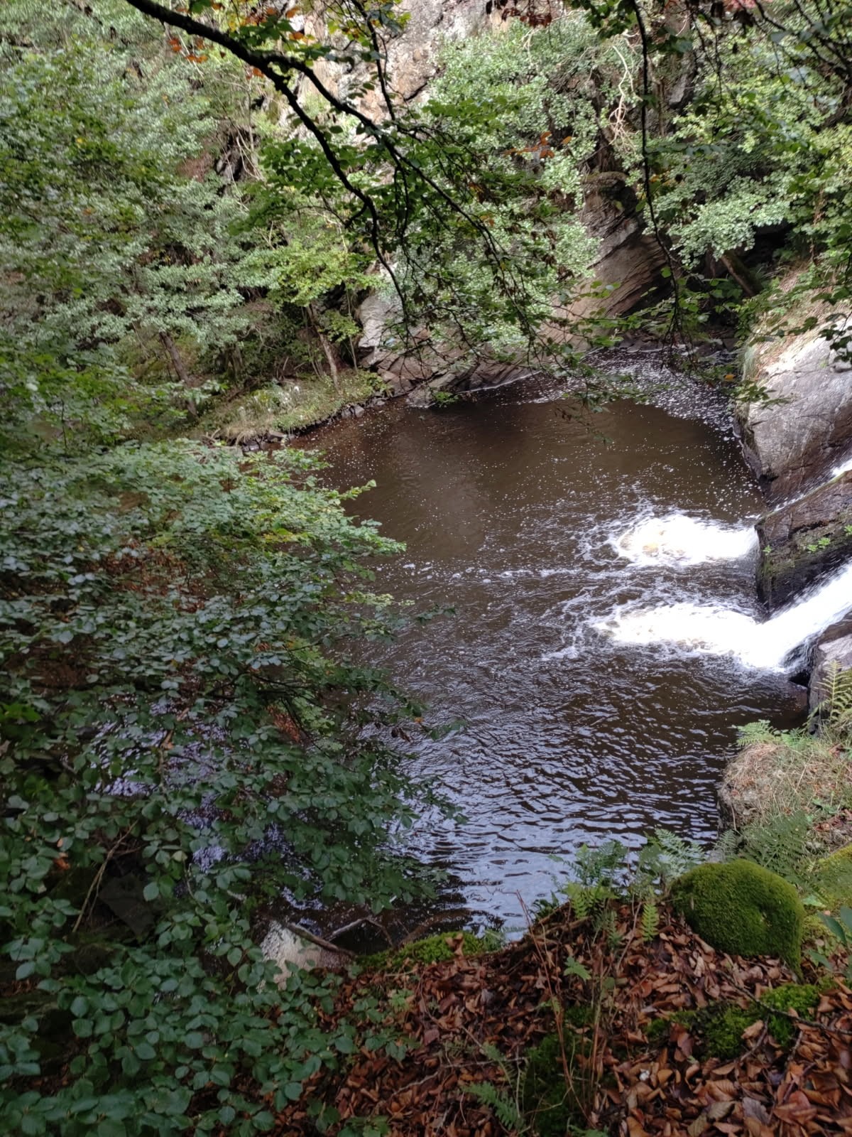 Photo n° 12 of the location