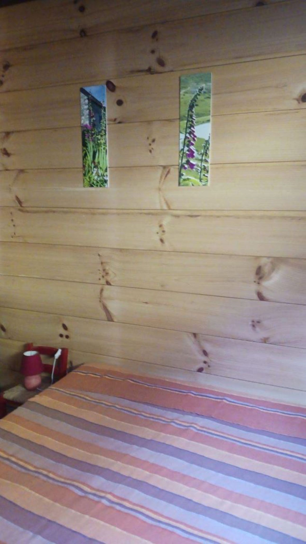 Photo n° 10 de la location