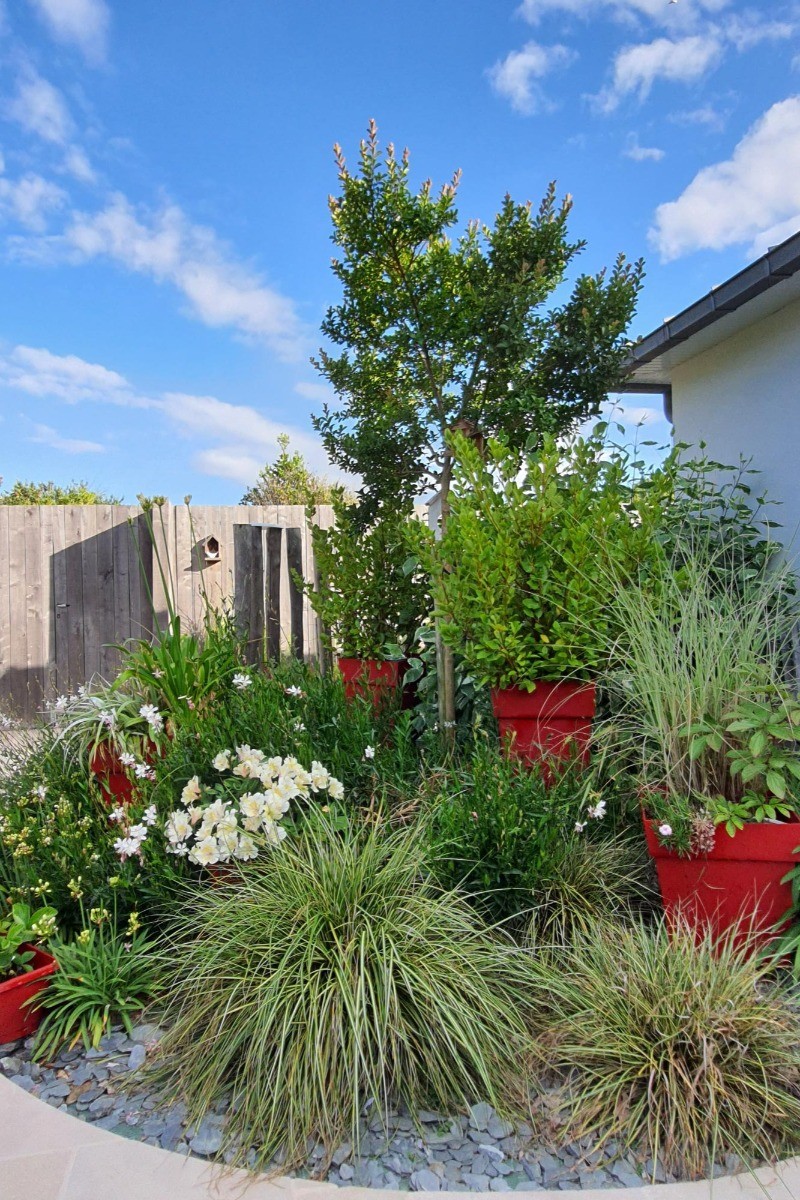 jardin