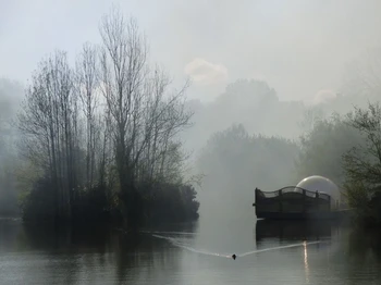 La bulle flottante sur l'étang
