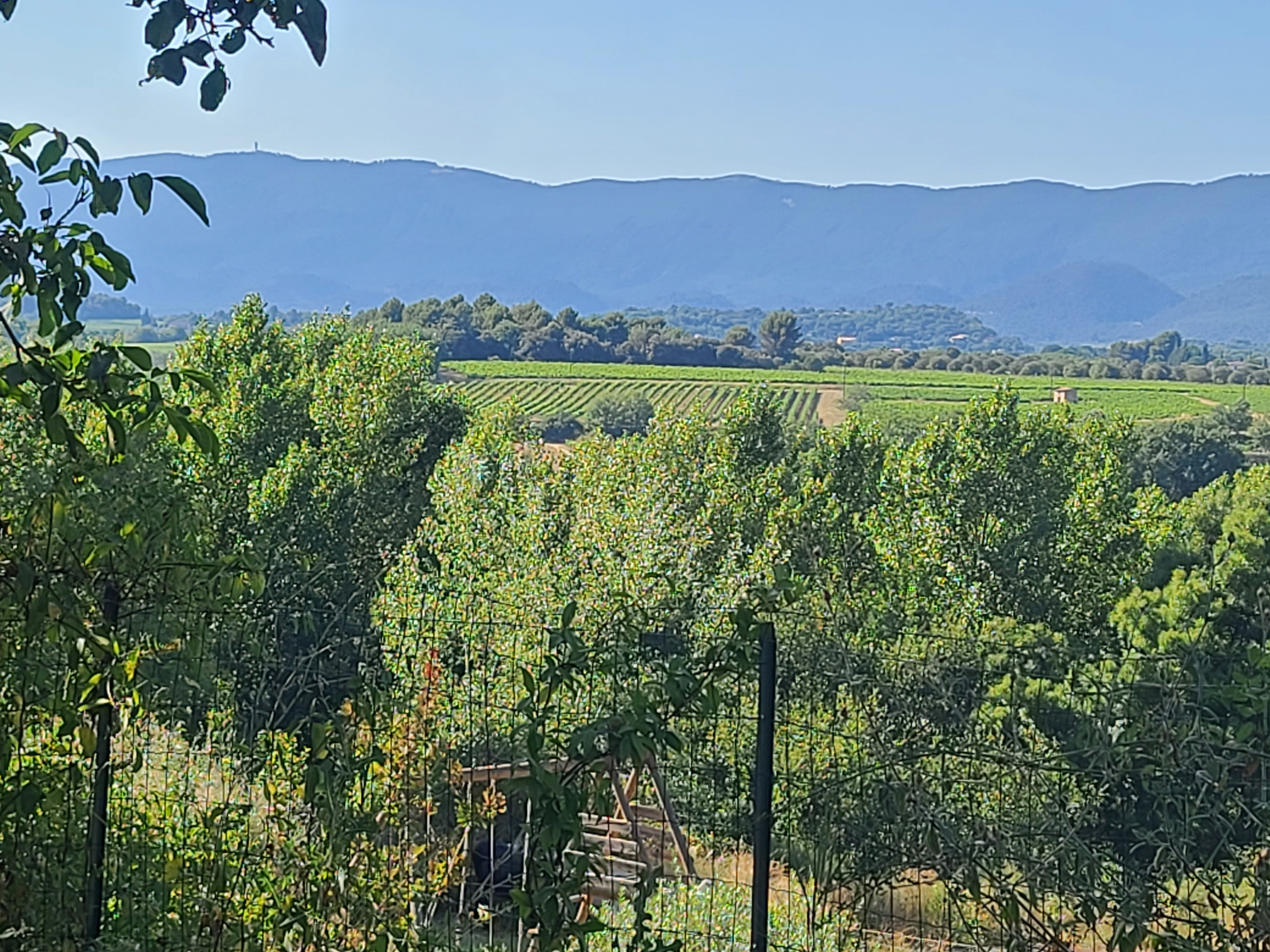 Photo n° 20 of the location