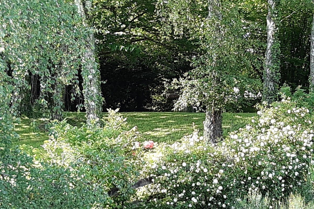 Le parc