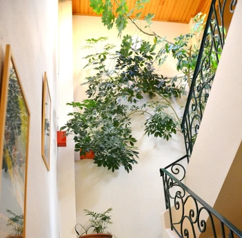 Escalier 2è étage