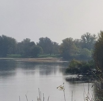 Pêcheurs en Loire au petit matin