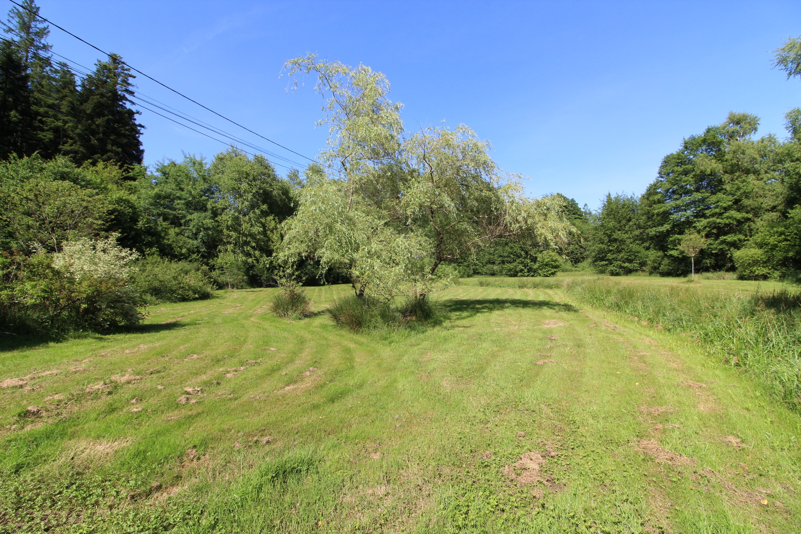 Jardin - Chalet en bois tout confort aux Rouges-Eaux – Nature, jardin, randonnées Vosges