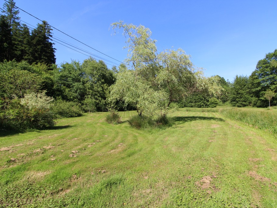 Jardin - Chalet en bois tout confort aux Rouges-Eaux – Nature, jardin, randonnées Vosges