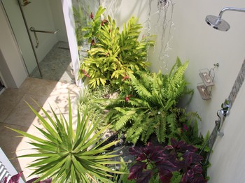 Salle de bains extérieure chambre Badamier