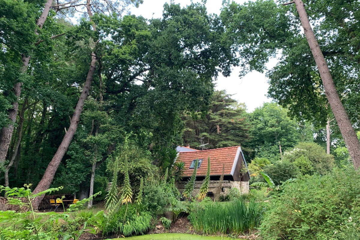 "Le coin perdu", on se sent petit parfois