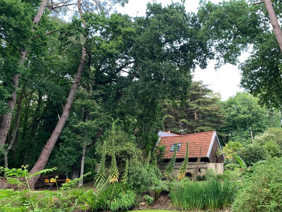 "Le coin perdu", on se sent petit parfois