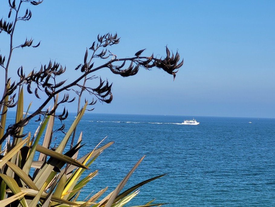 Photo n° 20 of the location