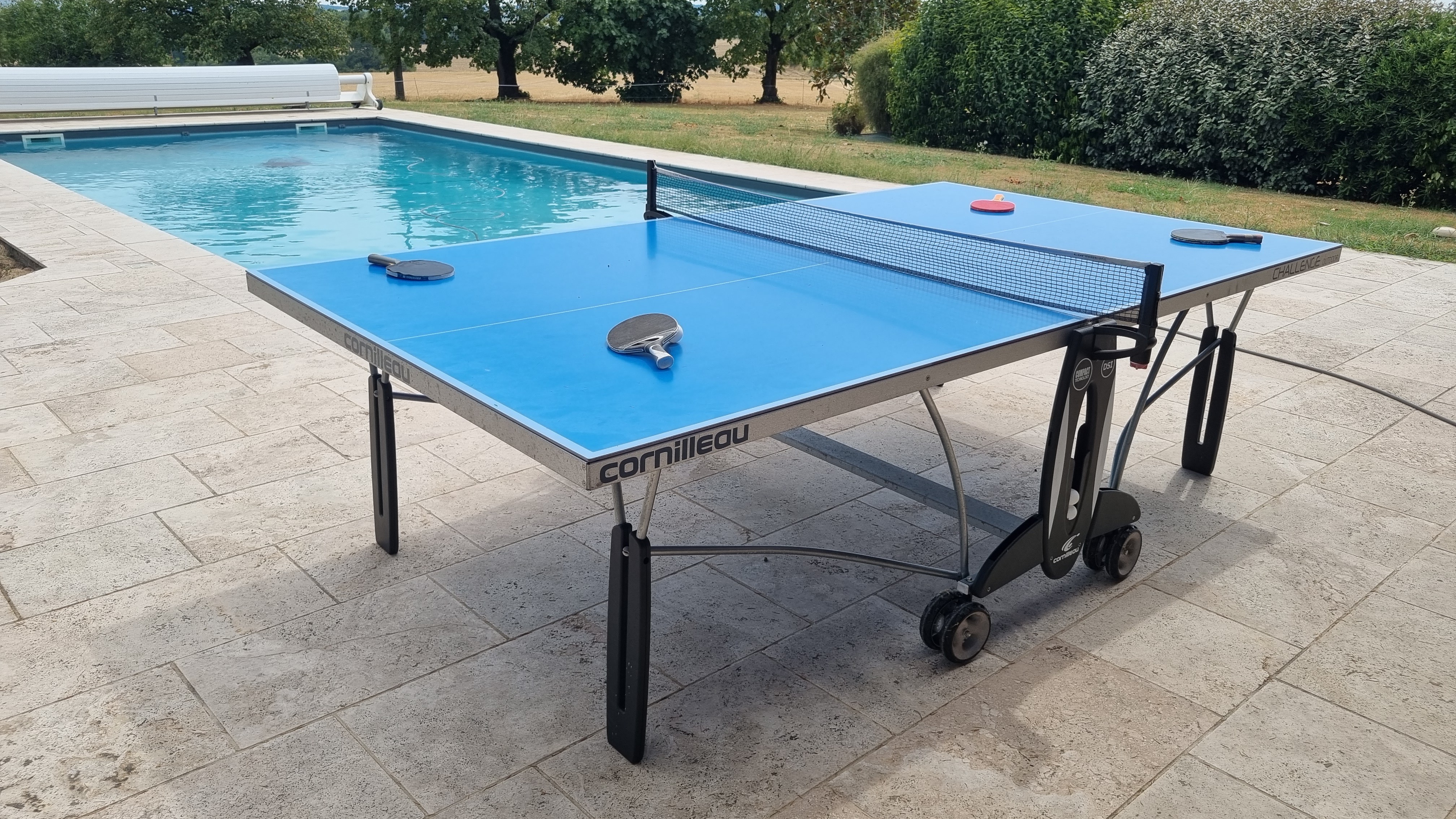 Ping-pong table near the pool house