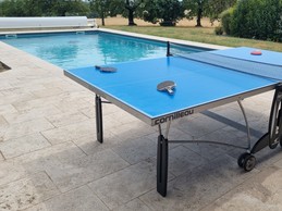 Ping-pong table near the pool house