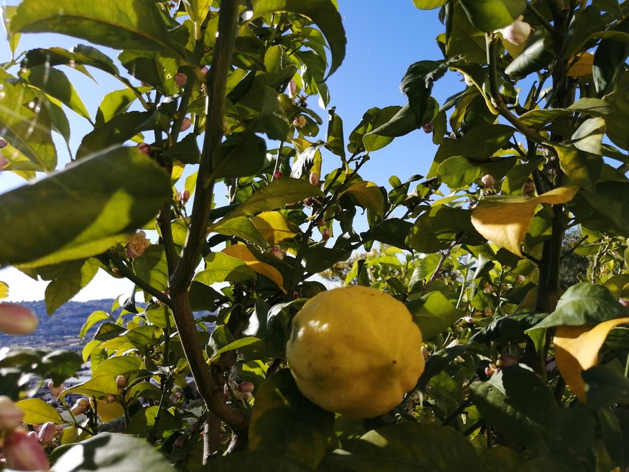 exterieur jardin vue panoramique errasse chambre