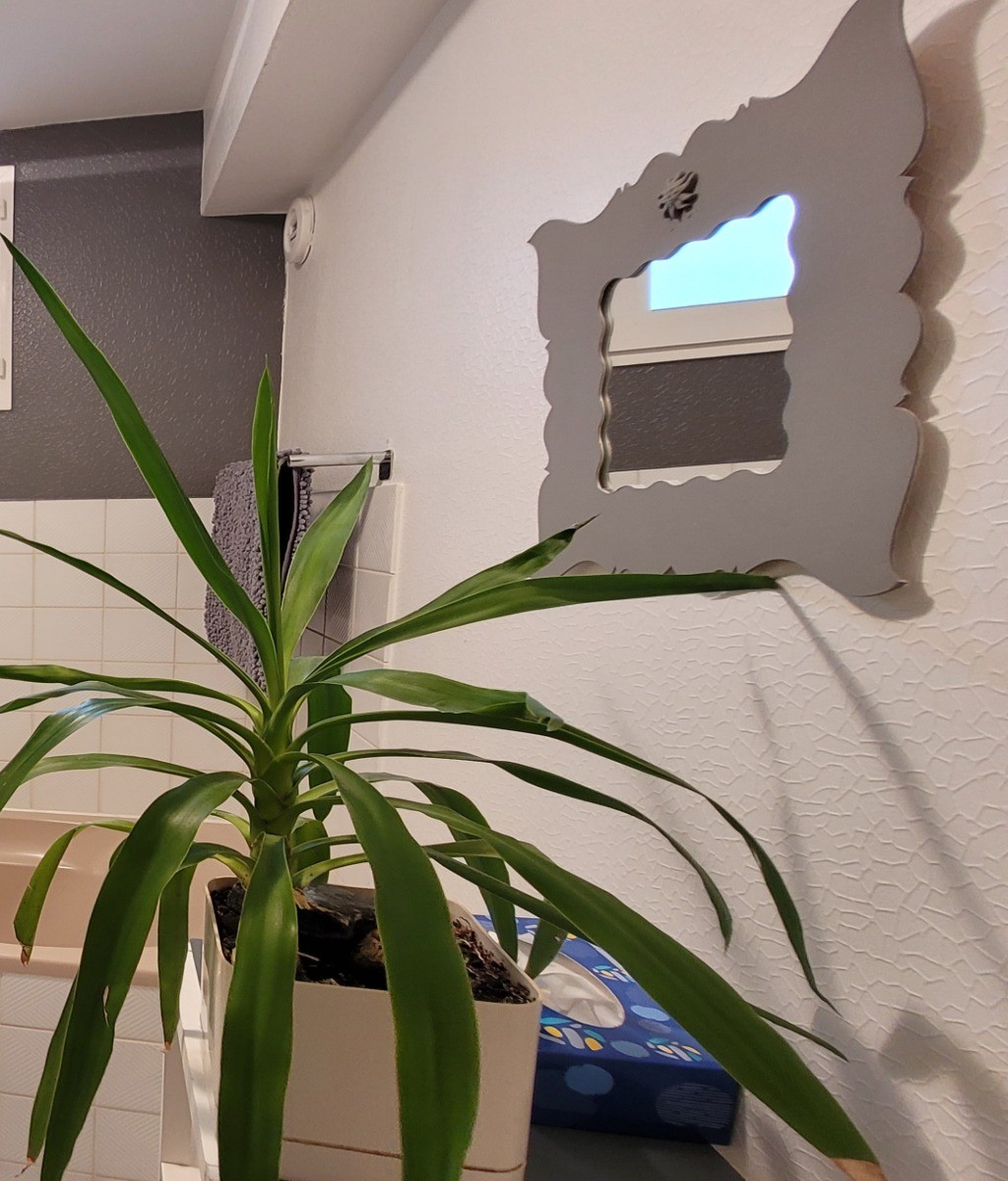 Photo n° 13 de la location