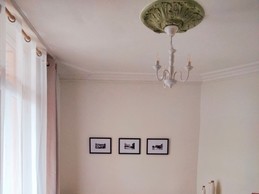 Image n° 3 de la location