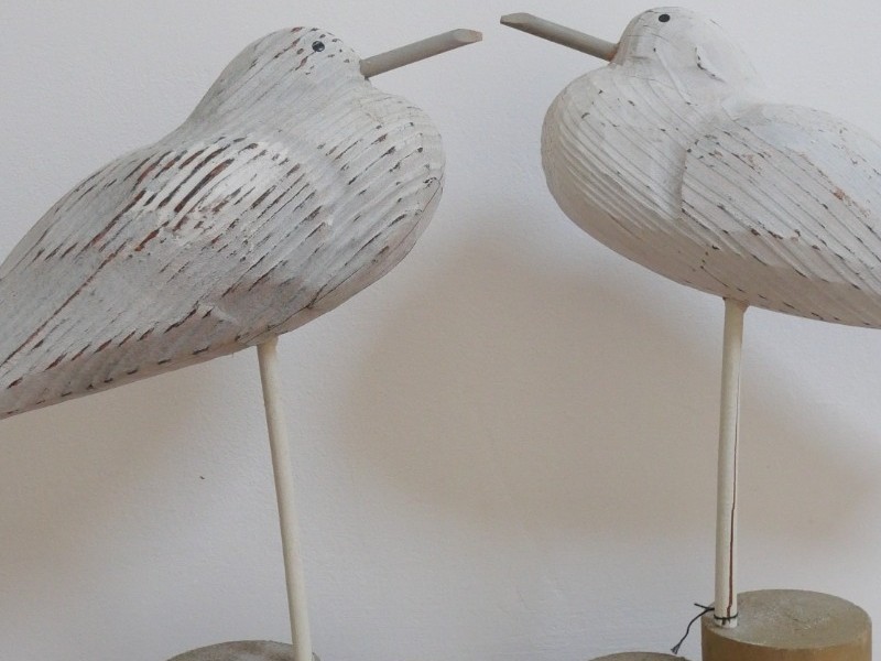 Photo n° 8 de la location