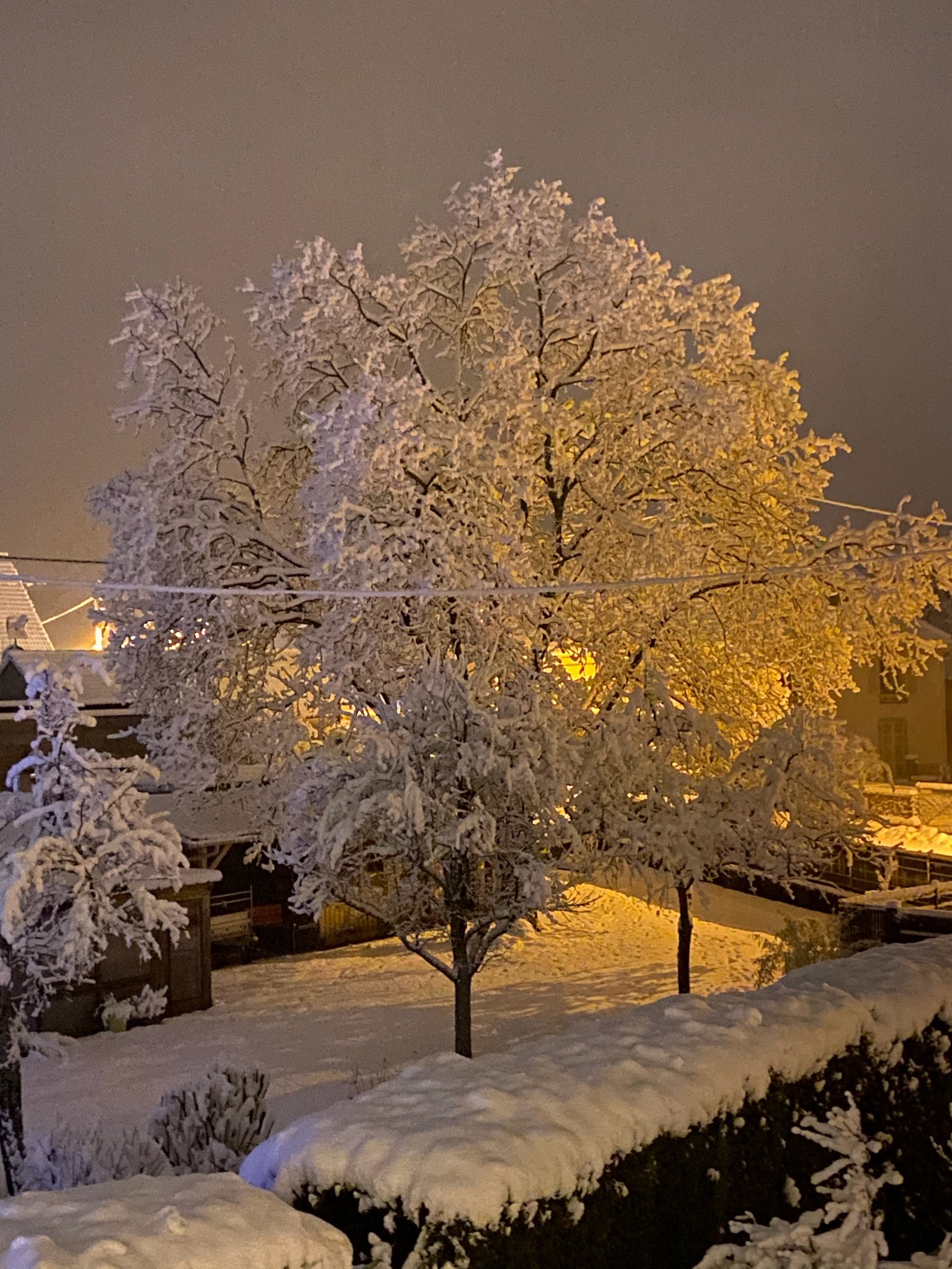 Photo n° 15 de la location