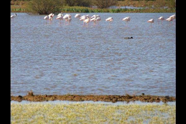 Photo n° 16 of the location