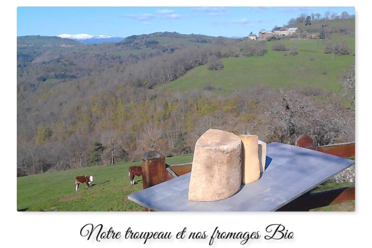Photo n° 11 of the location