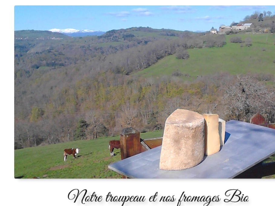 Photo n° 11 of the location